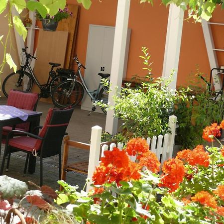 Gaestehaus Herbert Kappes Zeltingen-Rachtig Ngoại thất bức ảnh
